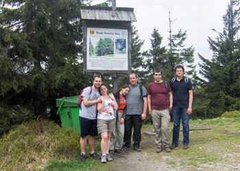 Zespół VIX Automation