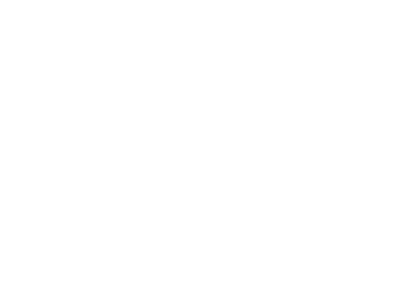 Velotic - logo white
